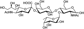 Structure of sialyl Lewis X.