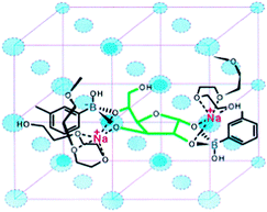 Glucose binding to two boronic acid moieties of BA-PEG-AA. The binding motif is stabilised by PEG-Na+ complex. Reproduced with permission from Anal. Chem., 2003, 75, 2316–2323. Copyright 2003 American Chemical Society.