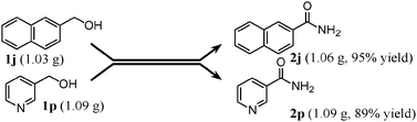 Gram-scale amidation. Conditions for 1j: OMS-2 (1.3 g), 1j (1.03 g), 28% aq. ammonia (ca. 2.6 equiv.), 1,4-dioxane (26 mL), O2 (3 atm), 130 °C (bath temp.), 3 h. Conditions for 1p: OMS-2 (1 g), 1p (1.09 g), 28% aq. ammonia (ca. 2.6 equiv.), 1,4-dioxane (40 mL), O2 (3 atm), 130 °C, 2 h.