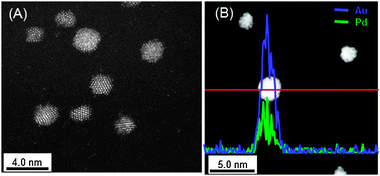 (A) STEM-HAADF image and (B) STEM-EDS line analysis of the Au60Pd40-PVP NCs. The blue and green lines are corresponding to the presence of Au and Pd elements, respectively.