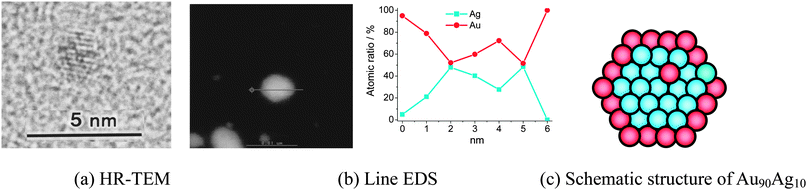 HR-TEM and DF-STEM images, and EDS of Au90Ag10 BNPs (final metal ion concentration = 0.20 mM, RPVP = 100). Adapted with permission from ref. 99. Copyright 2011, Elsevier.