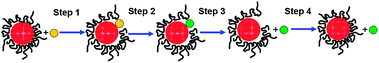 Schematic illustration of polymer-protected NPs on the reaction substrate of aerobic glucose oxidation (large red circle: NPs; small dark yellow circle: d-glucose; small green circle: gluconic acid).