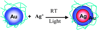 Schematic representation of formation of Agcore–Aushell BNPs prepared by physical mixing of Ag+ ions and Au NPs.