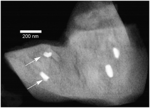 Scanning transmission electron micrograph of the 5% Au/Al2O3 catalyst. White arrows point to the Au particles on the surface of the alumina.31 Reprinted with permission from Elsevier.