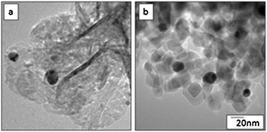 TEM images of (a) Au/NiO and (b) Au/TiO2.