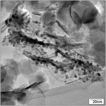 TEM image of Au/NiO50–TiO2 50 with Au particles.