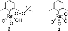 Possible active species of XTO (R = xylyl). σ-type-coordinated TBHP 2, monoperoxo complex 3.