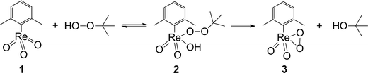 Possible activation pathway of 1 in the presence of TBHP.