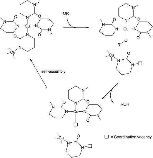 Ligand displacement and re-coordination of 2-hydroxypyrimidine in [Cu(2-pymo)2] upon coordination/release of a radical species.