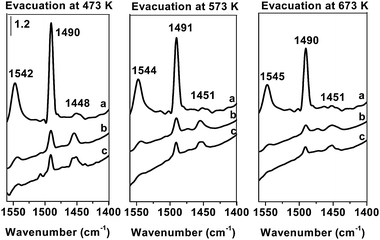 FT-IR spectra of pyridine adsorbed on (a) Fe-ZSM-5(25)LT; (b) Fe-ZSM-5(25)HT; (c) Fe-ZSM-5(50)HT.