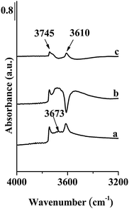 FT-IR spectra of Fe-ZSM-5(50)LT in the range of OH vibrations; (a) initial zeolites matrix, before NO adsorption, (b) after adsorption of NO at RT, (c) after evacuation at RT.