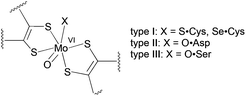 The active site structures of oxidized type I, II and III enzymes.