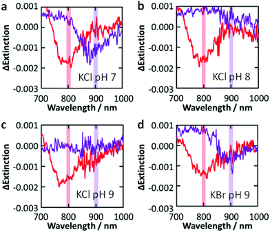 Difference extinction spectra of Au NPs on TiO2 after irradiation with 800 and 900 nm (4 mW cm−2, 30 min) light in 0.5 M KCl ((a) pH 7, (b) 8 and (c) 9) and (d) KBr (pH 9) aqueous solutions.