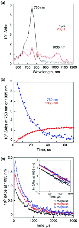 (a) Transient absorption spectra of Ni2-CPDPy(OC6) with Li+@C60 in deaerated PhCN at room temperature taken at 4 and 28 μs after nanosecond laser excitation at 520 nm. [Ni2-CPDPy(OC6)] = 2.5 × 10−5 M, [Li+@C60] = 5.0 × 10−5 M. (b) Rise and (c) decay time profiles at 1035 nm with different laser intensities (1, 3, 5 mJ per pluse). Inset: first-order plots.