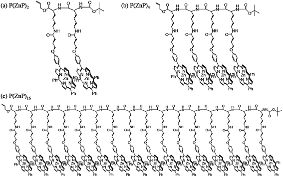 Chemical structures of P(ZnP)2, P(ZnP)4 and P(ZnP)16.