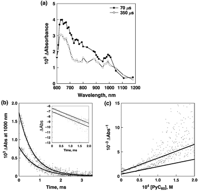 (a) Transient absorption spectra of P(ZnP)8 (2.9 × 10−6 M) in the presence of PyC60 (4.9 × 10−3 M) in deaerated PhCN at 298 K taken at 70 (solid line with black circles) and 350 μs (solid line with white circles) after laser excitation at 561 nm (4 mJ per pulse), respectively. (b) Time profiles of the absorption at 1000 nm due to PyC60˙− with different laser powers (4 and 1 mJ per pulse) at 298 K. Inset: first-order plots. (c) Second-order plots.