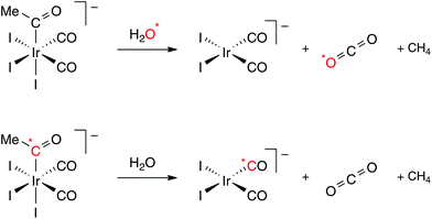 Isotopic labelling experiments.