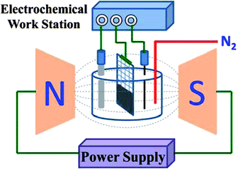 The schematic setup of the electrochemical cell tested in a magnetic field.