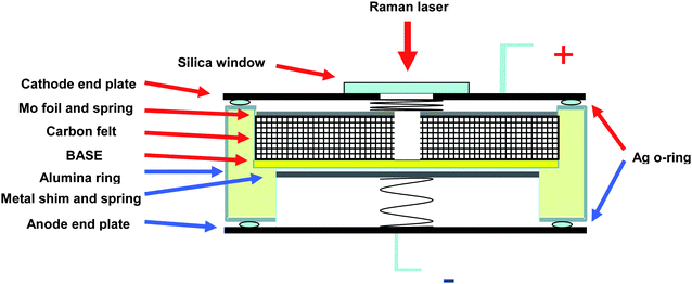 Schematic of a single cell.