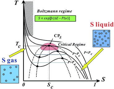 Schematic phase diagram of liquid–liquid transition in T–S plane.25 Liquid–liquid transition can be understood as a transition between a S-gas state and S-liquid state.