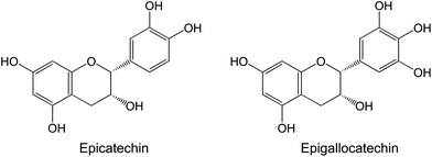 The principal catechins present in tea and pomegranate.