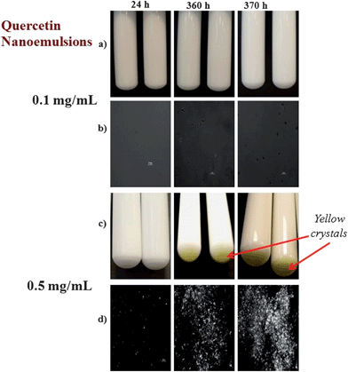 Visual appearance and microstructure of nanoemulsions containing different levels of quercetin (0.1 or 0.5 mg mL−1). The microstructural images were taken using polarized light microscopy and show crystalline material.