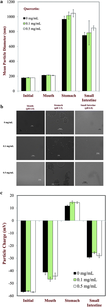 (a) Mean particle diameter of nanoemulsions containing different levels of quercetin at different stages in a simulated GI model. (b) Microstructure images of nanoemulsions containing different levels of quercetin (0, 0.1 or 0.5 mg mL−1) at different stages of the in vitro digestion model. (c) Particle charge of nanoemulsions containing different levels of quercetin at different stages in a simulated GI model.