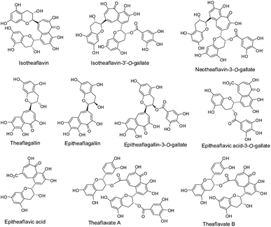 Isomers of black tea theaflavins.