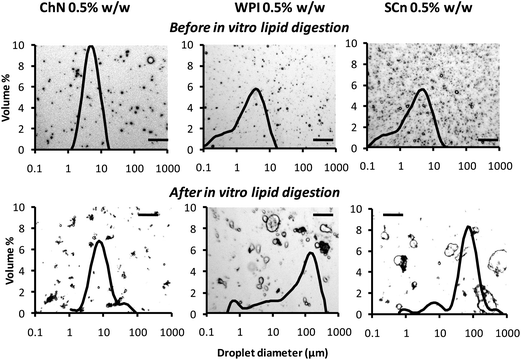 Typical optical micrographs combined with their respective oil droplet size distributions obtained by static light scattering experiments of ChN-, WPI- and SCn-stabilized o/w emulsions before lipid digestion (after dilution of 1 : 100) and following lipid digestion without further dilution: lipase (1.6 mg mL−1) and bile extract (5 mg mL−1) (at T = 37 °C, 5 mM CaCl2, pH 7.0, hydrolysis time 2 h); scale bar of 50 μm in all frames.