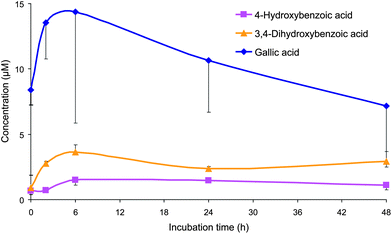 Mean concentrations (corrected by subtracting concentrations from the control samples) of 4-hydroxybenzoic acid, 3,4-dihydroxybenzoic acid and gallic acid (2,3,4-dihydroxybenzoic acid) detected in the faecal incubations of Concord grape juice with colonic microbiota from three healthy donors. Error bars represent the standard error of the mean (n = 3).