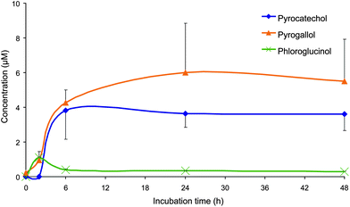 Mean concentrations (corrected by subtracting concentrations from the control samples of pyrogallol (1,2,3-trihydroxybenzene), catechol (1,2-dihydroxybenzene) and phloroglucinol (1,3,5-trihydroxybenzene) detected in the faecal incubations of Concord grape juice with colonic microbiota from three healthy donors. Error bars represent the standard error of the mean (n = 3).