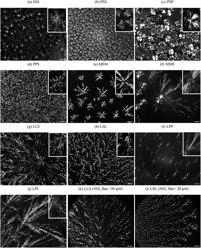 (a–j) Polarized light micrographs (magnification = 100×; bar = 100 μm) of the mixtures processed as described in Section 2.2 and taken at 25 °C. Insets are PLMs with 500× magnification; same bar = 20 μm. (k and l) Micrographs at magnification 50× (bar = 20 μm) of LLS and LSL, respectively.