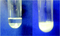 Situation at the end of the reaction. Left: Two different layers are formed. Top layer (ester + unreacted alcohol) lower layer (IL + water formed during the reaction). Right (reaction in [Hdabco]Cl): Just one solid layer was formed.