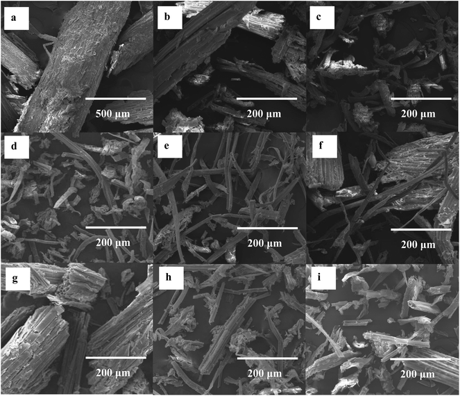 SEM images of (a) untreated bagasse, and bagasse samples pretreated by EC–EG solvents with the ratio of (b) 1 : 0, (c) 9 : 1, (d) 4 : 1, (e) 1 : 1 and (f) 0 : 1 and by PC–PG solvents with the ratio of (g) 1 : 0, (h) 9 : 1 and (i) 4 : 1.