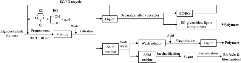 An EC–EG-based lignocellulosic biomass pretreatment process.