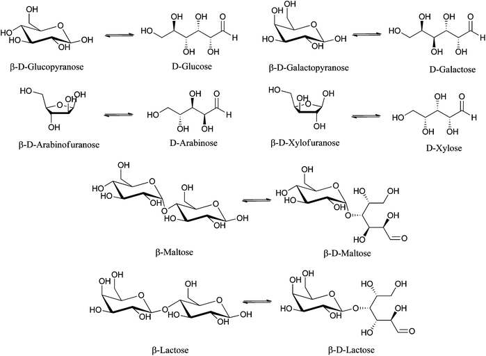 Sugars used as substrates in Table 17 and their ring opening products that are in equilibrium in aqueous solution. Only the beta and dextro ring and linear forms were shown to simplify the scheme. Maltose and lactose are disaccharides in which one ring opens.