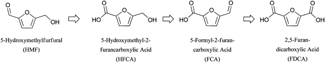 Commonly observed intermediates in HMF oxidation.