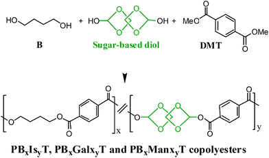 Polymerization reactions leading to PBxIsyT, PBxGalxyT and PBxManxyT copolyesters.