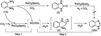 Proposed reaction pathway for benzimidazole production.