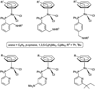 Structure of arene–ruthenium(ii) catalysts containing amino-phosphine and pyridyl-phosphine ligands.