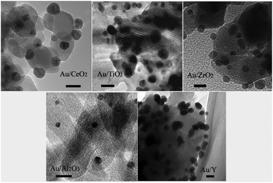 TEM images of Au-NPs on different supports. The length of the scale bars in the images is 10 nm.