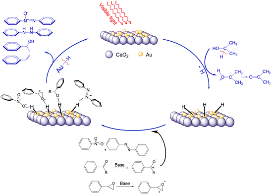 Schematic mechanisms of the reaction pathways in the photocatalytic reductions with supported Au-NPs.