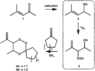 Synthetic route to spirobicyclic trioxanes, 4a and 4b, highlighting the photo-oxidation step. 1: mesityl oxide; 2: 4-methylpent-3-en-2-ol; 3: hydroperoxides. Here, n = 1, cyclopentanone, or 2, cyclohexanone to give 8-isopropenyl-9-methyl-6,7,10-trioxa-spiro[4.5]decane (4a) or -isopropenyl-4-methyl-1,2,5-trioxa-spiro[5.5]undecane (4b) respectively.