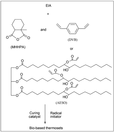 The scheme for the curing process.