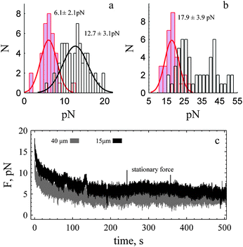 Stationary force is independent of tether length with and without cytochalasin E in the bath. (a) Stationary force for tubes of all lengths under control (white, N: 60) and in presence of cytochalasin E (lavender, N: 33). (b) Force measured at end of tube elongation. In presence of cytochalasin E the force exhibits a single distribution (N: 30). Solid black (control) and red (cytochalasin E) are normal probability distribution functions. (c) Force measured during relaxation in presence of cytochalasin E. The stationary values are 3.7 ± 0.9 pN (grey) and 6.2 ± 1.0 pN (black). The force measured at zero time represents the force at the end of tube elongation.