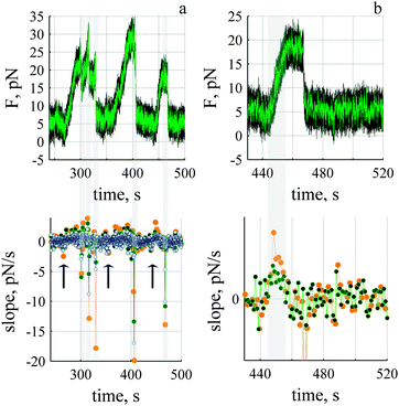 Dynamic sawtooth force rides on top of the stationary value. (a) Analysis of sawtooths, bottom panel shows the j-slope calculated with 0.5 (500 points, ash), 1.0 (1000 points, green) and 1.5 (1500 points, orange) seconds of data. Five significant decay events (grey) are evident. The arrows indicate a decrease in force before the onset of rise. Dark green lines represent recorded data (1 pt ms−1) and light green lines 1 pt 100 ms−1 of the recorded data. (b) Third sawtooth and j-slope determined during the rise. The grey line represents the time course of rise (13 seconds) determined from j-slope (green). Tube was 15 μm in length. Time is measured relative to end of tube elongation.