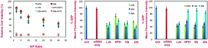 Relative cell viabilities of (left) bPEI:siRNA and bPRTx+:siRNA complexes as a function of N/P ratios; (center) in vitro GFP knockdown efficiencies of 10k and 20k bPRTx+:siRNA complexes at N/P = 10 in 10% serum-supplemented media with L2k and bPEI (@ N/P = 20) as controls (90 pmol siRNA per well, 4 h incubation, flow cytometry analysis of GFP expression 24, 36, and 48 h after removal of siRNA complexes); (right) in vitro GFP knockdown efficiencies of 10k and 20k bPRTx+:siRNA complexes at N/P = 10 in 10% serum-supplemented media with L2k and bPEI (@ N/P = 20) as controls (30 pmol, 60 pmol and 90 pmol siRNA per well, 4 h incubation, flow cytometry analysis of GFP expression 36 h after removal of siRNA complexes).