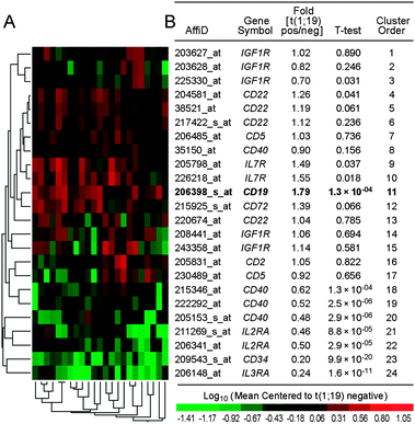 CD19 upregulation in t(1;19)+ ALL. (A) The surface receptor gene expression profiles of primary cells from t(1;19)+ ALL patients (N = 23) were compared to those of primary cells from t(1;19)− patients (N = 184) with high risk B-lineage ALL (COG P9906, GSE11877). The heat map depicts log10 expression values mean centered to E2A–PBX1 negative patients. (B) A two-way agglomerative hierarchical clustering technique was utilized to organize expression patterns such that gene transcripts (rows) and E2A–PBX1 positive samples (columns) having similar expression values were grouped together (calculated using the average distance metric shown by the dendrograms). Differential expression of each gene transcript is reported as fold increase in t(1;19) positive patients and P-values using the t-test corrected for unequal variances. Abbreviation: t-test, P-value obtained in the t-test.