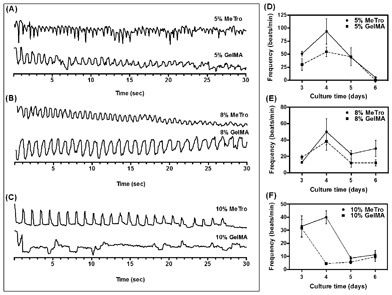 Beating behavior of CMs seeded inside microchannels coated with MeTro and GelMA using (A) 5, (B) 8, (C) 10%(w/v) prepolymer solutions on day 4 of culture. Spontaneous beating frequency of CMs seeded inside microchannels coated with (D) 5, (E) 8, and (F) 10%(w/v) gels over 6 days of culture.