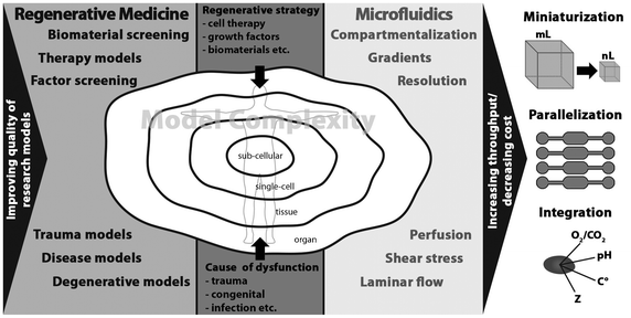 The needs of regenerative medicine research and the tools microfluidics offers to meet these needs.